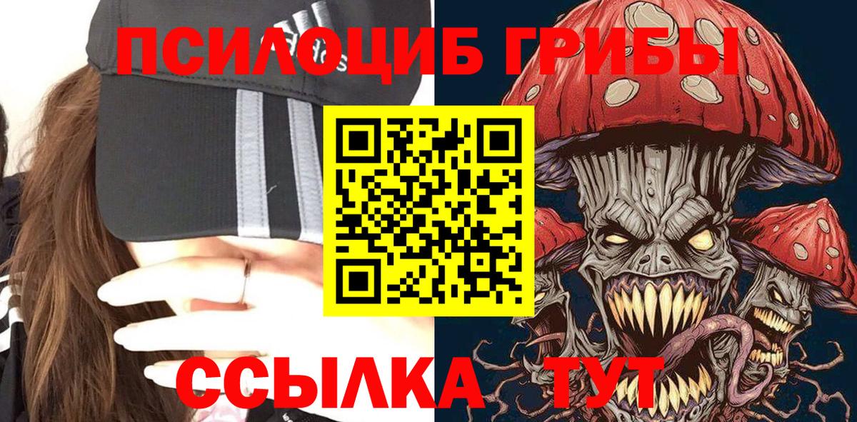 Избербаш  Псилоцибиновые грибы GOLDEN TEACHER  Вход с VPN 