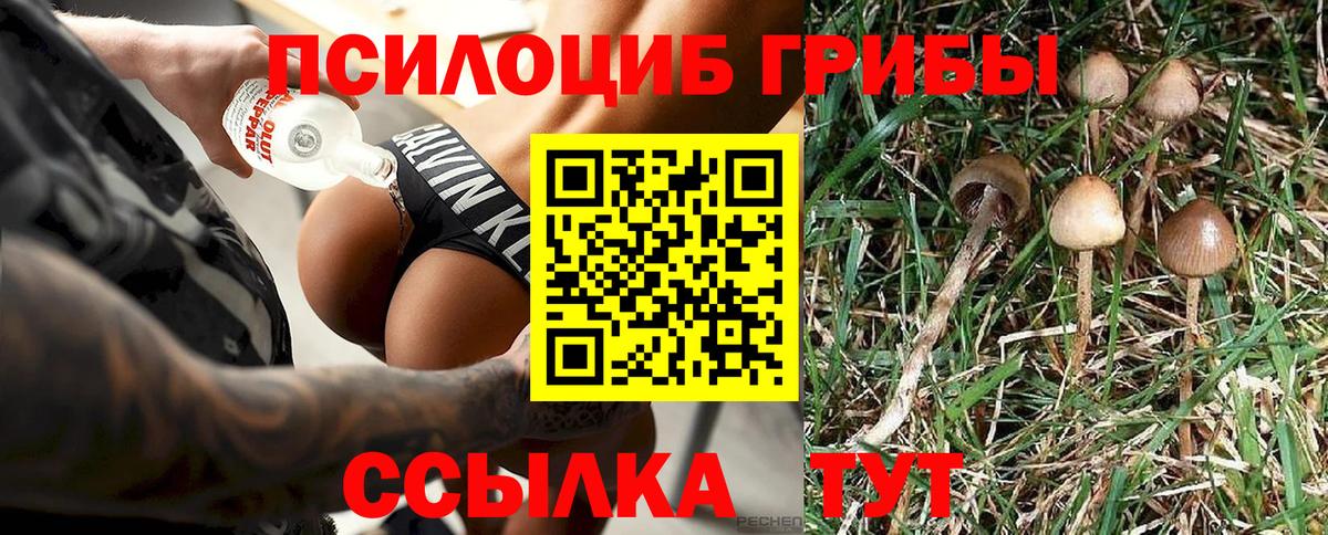 Псилоцибиновые грибы прущие грибы Избербаш